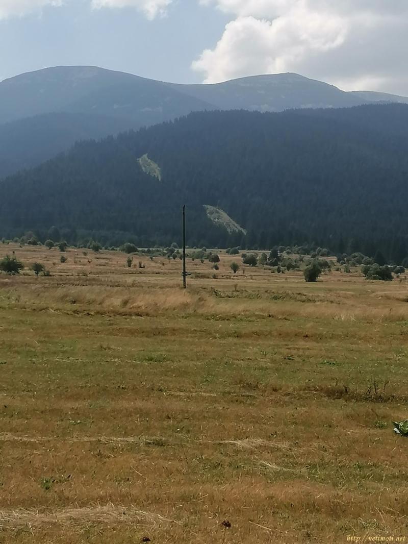 Оферта за недвижим имот с номер 20642: парцел в София област - с.Говедарци в категория продава - 2176 м2 на цена 217600 EUR - снимка номер 4 Снимка 4 на парцел в София област - с.Говедарци в категория недвижими имоти продава - 2176 м2 на цена 217600 EUR