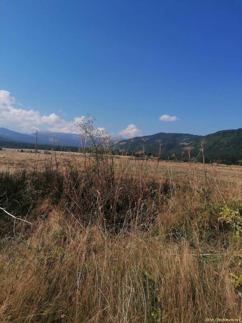 Оферта за недвижим имот с номер 20643: земеделска земя в София област - с.Говедарци в категория продава - 910 м2 на цена 29500 EUR - снимка номер 1 Снимка 1 на земеделска земя в София област - с.Говедарци в категория недвижими имоти продава - 910 м2 на цена 29500 EUR