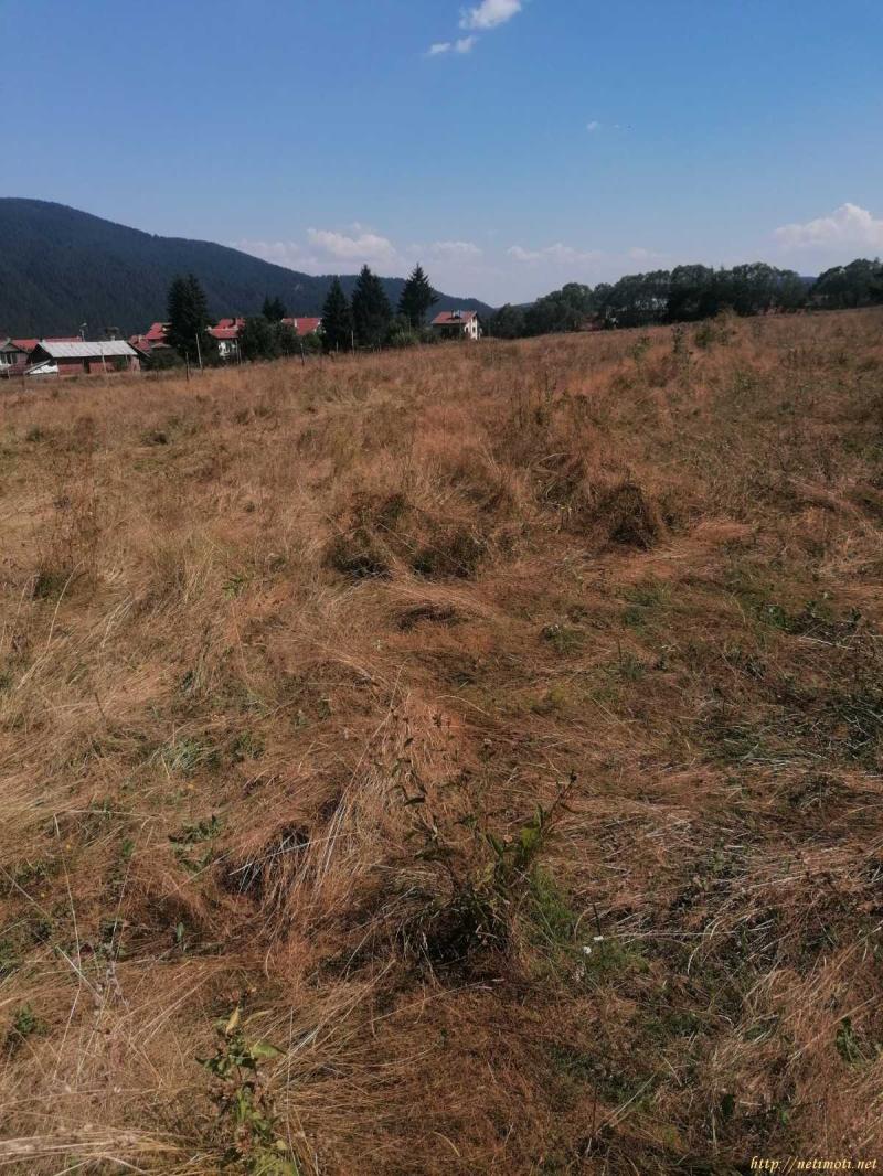 Оферта за недвижим имот с номер 20643: земеделска земя в София област - с.Говедарци в категория продава - 910 м2 на цена 29500 EUR - снимка номер 2 Снимка 2 на земеделска земя в София област - с.Говедарци в категория недвижими имоти продава - 910 м2 на цена 29500 EUR