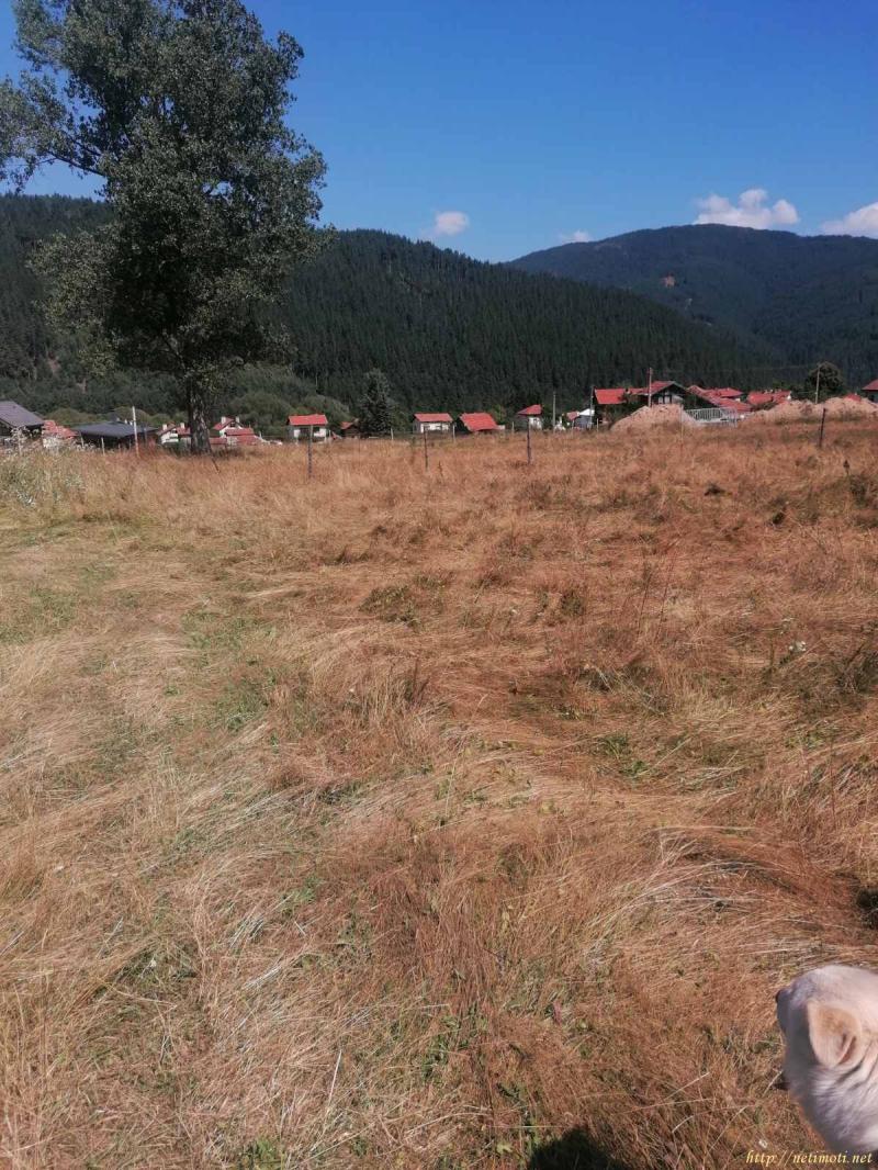 Снимка 2 на земеделска земя в София област - с.Говедарци в категория недвижими имоти продава - 910 м2 на цена  22500 EUR 