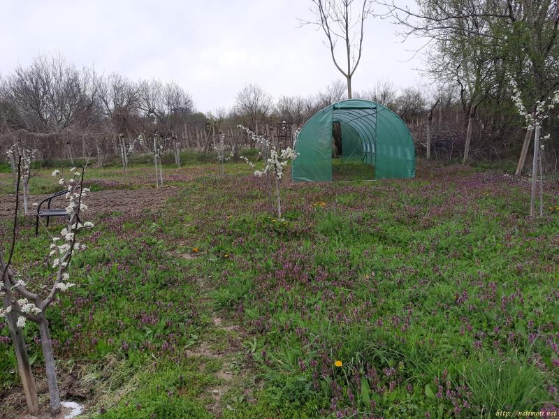 Оферта за недвижим имот с номер 20687: помещение в Велико Търново област - гр.Килифарево в категория продава - 600 м2 на цена 180000 EUR - снимка номер 8 Снимка 8 на помещение в Велико Търново област - гр.Килифарево в категория недвижими имоти продава - 600 м2 на цена 180000 EUR