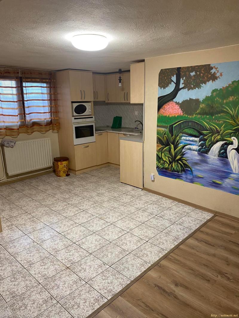 Снимка 2 на къща в Пазарджик област - с.Добровница в категория недвижими имоти продава - 580 м2 на цена  120000 EUR 