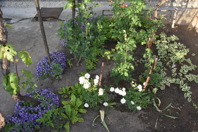 Оферта за недвижим имот с номер 20785: къща в Пловдив област - гр.Първомай в категория продава - 260 м2 на цена 112484 EUR - снимка номер 1 Снимка 1 на къща в Пловдив област - гр.Първомай в категория недвижими имоти продава - 260 м2 на цена 112484 EUR